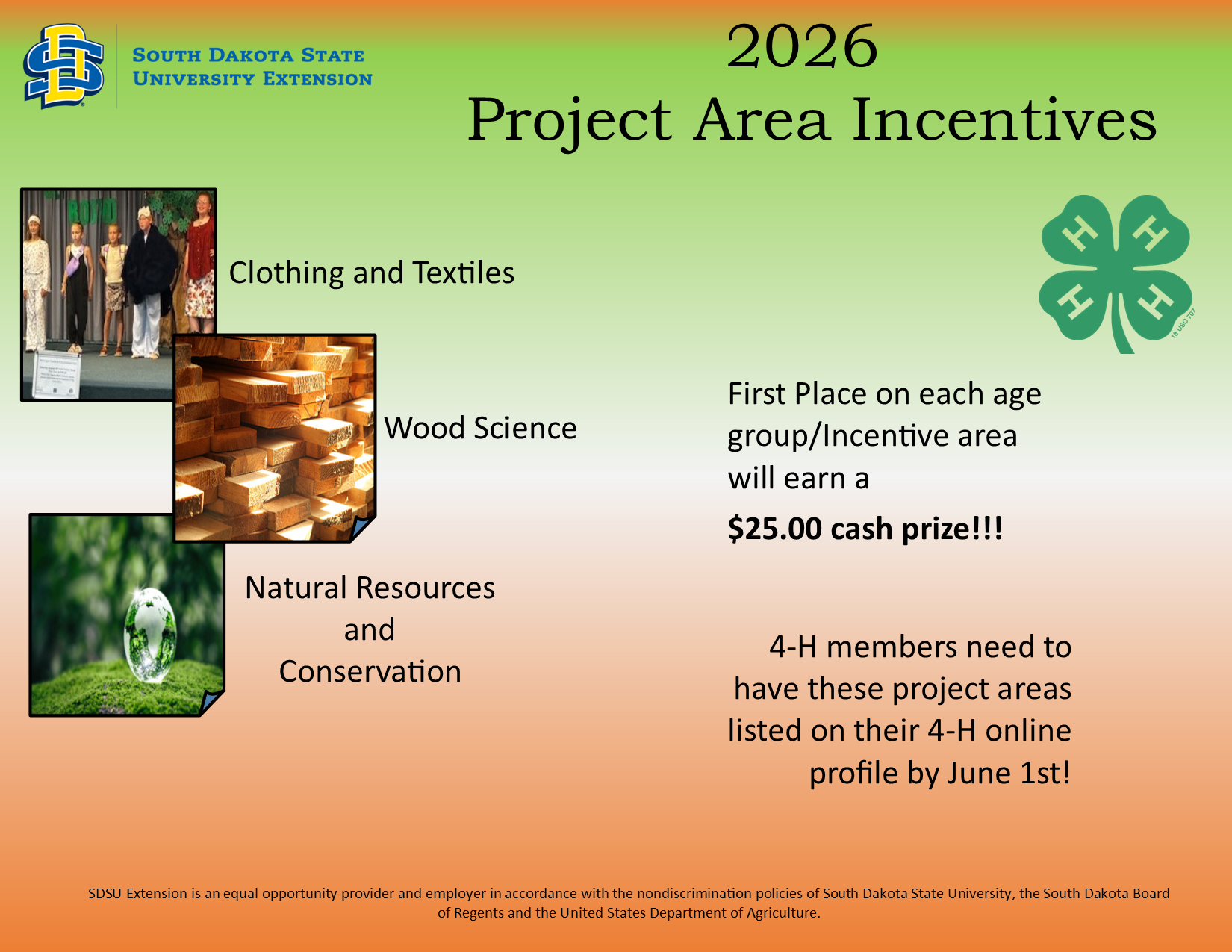 Project Area Incentive Flyer